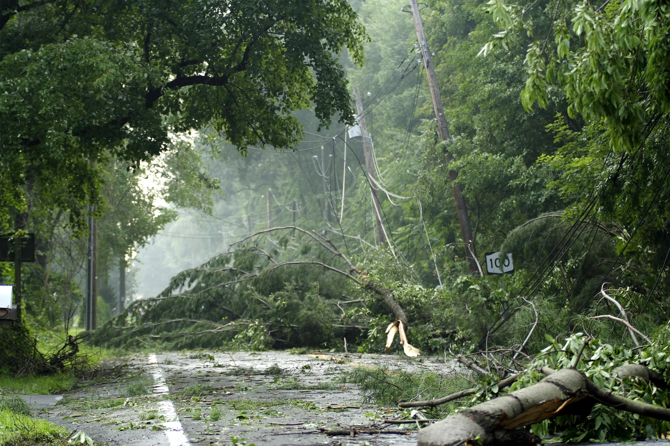 Vfd storm response main banner