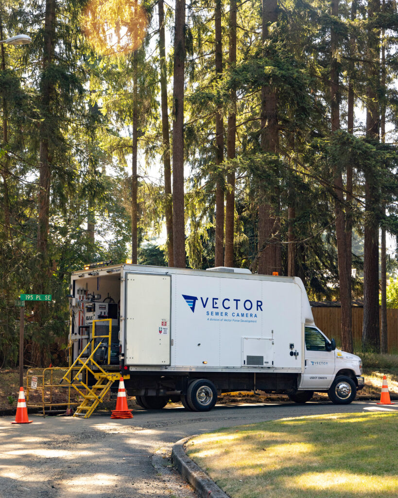 Vfd washington body image